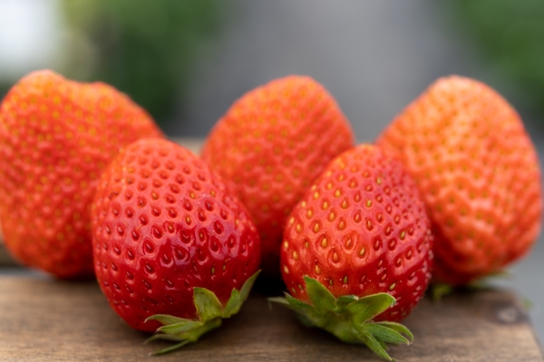 よつぼしの画像